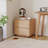 18.9"W Wooden Nightstand with 2 Drawers-13483302