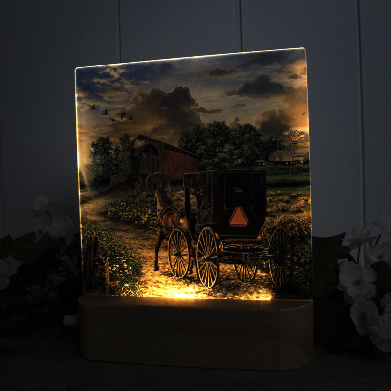 Soirée à la ferme veilleuse à DEL