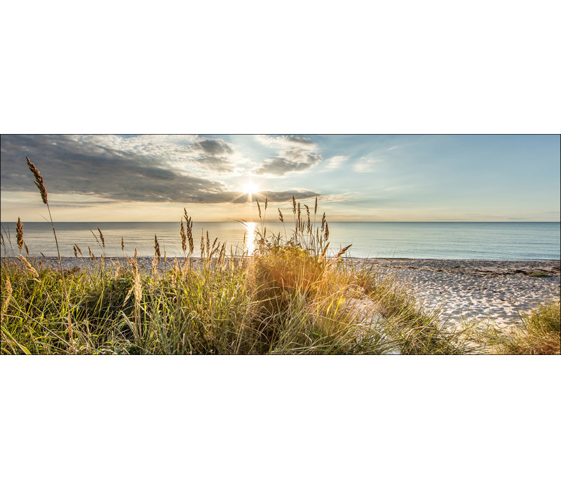 Wild Beach - No Frame Panoramic Print on Float Glass, 50cm H x 125cm W x 1.4cm D