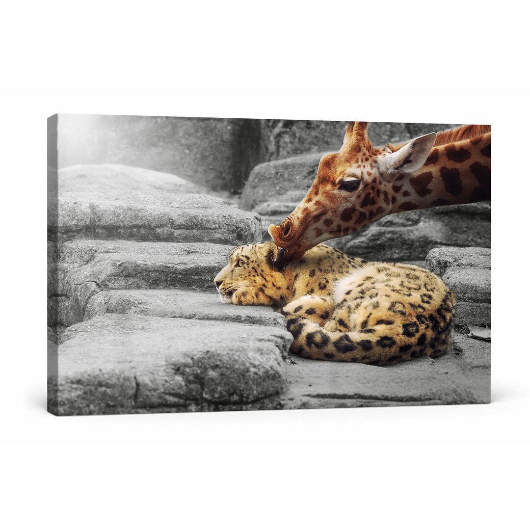 Leinwandbild Leopard und Giraffe