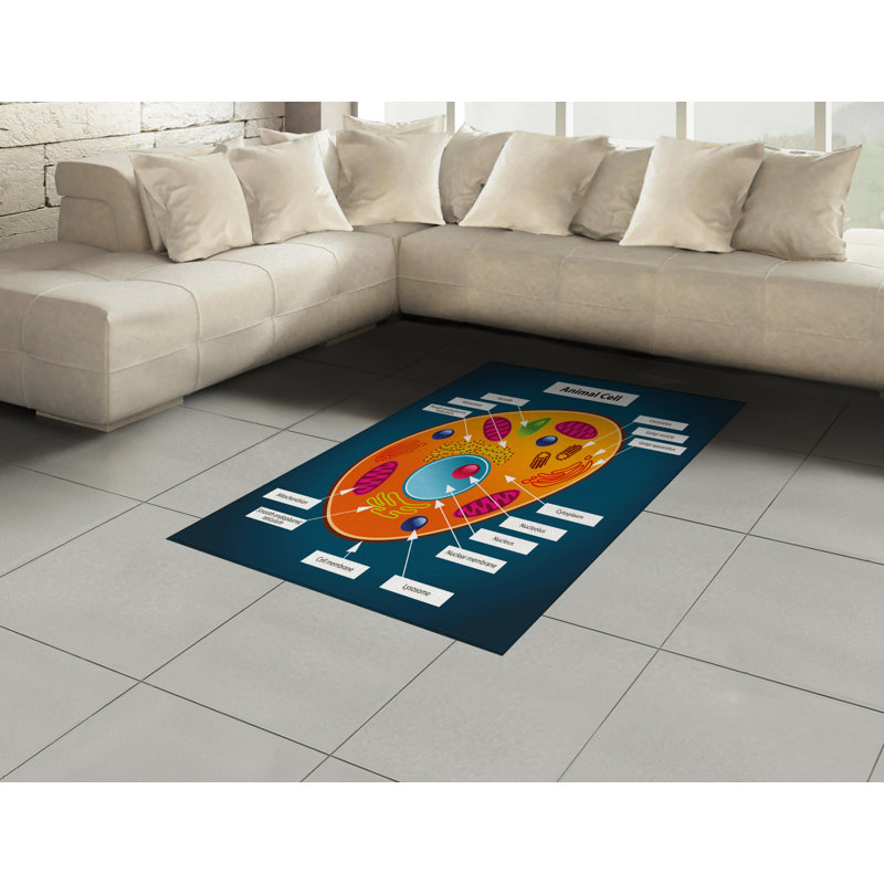 Science High Density Long Fiber Poly Threads Decorative Area Rug Carpet, Rectangle 2'7" x 5'