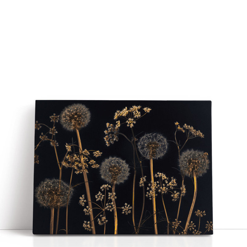 «Meadow Flowers On Black 1», reproduction d'art sur toile, H 12 po x l 16 po