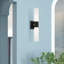 Cailum 2 Light Frosted Dimmable Vanity Light-2136842727