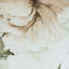 Floral Wallpaper-1759727337