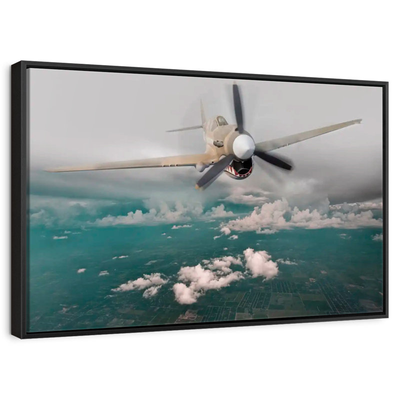 Avion Curtiss P 40 Warhawk, Cadre flottant noir, 13 po x 9 po
