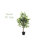 39'' Faux Ficus Tree in Pot Liner