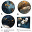 «Blue Dancing Dolphines II» - animaux, art des dauphins-277951768-277951765