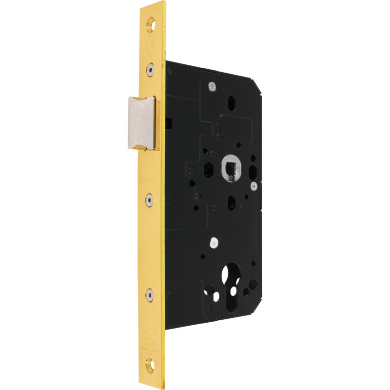 Stainless Steel Latch, 16.5cm H x 1.6cm W x 8.8cm D, Gold