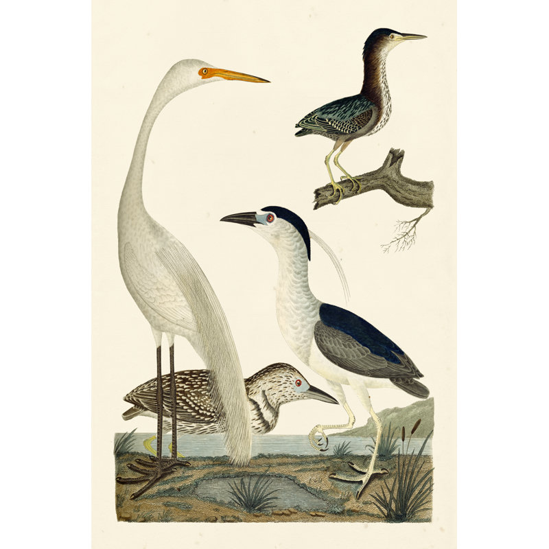 Heron Family II by Alicia Ludwig - Wrapped Canvas Print, 122cm H x 81cm W 