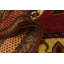 Tapis rouge Orcutt