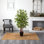 Faux Bamboo Tree in Planter