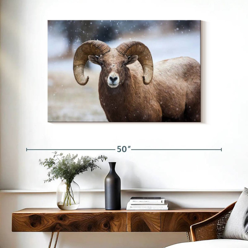 Brampt Bighorn Sheep, H 26 po x l 39 po