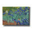 «Irises» par Vincent van Gogh, art mural sur toile-1532372138