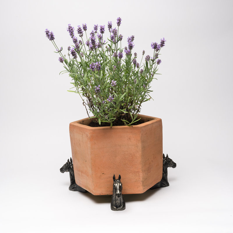Nellie Weather Resistant Planter Feet
