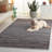 Mila 222 Performance Abstract Rug-1419570182