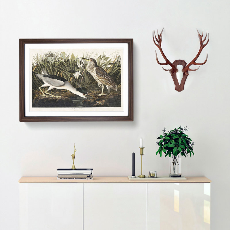 Night Heron by John Audubon - Framed Print, 27cm H x 36cm W x 2cm D, Walnut Framed