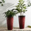 Ensemble de 2 pots à fleurs surdimensionnés rouges 23,75 po-1235545887