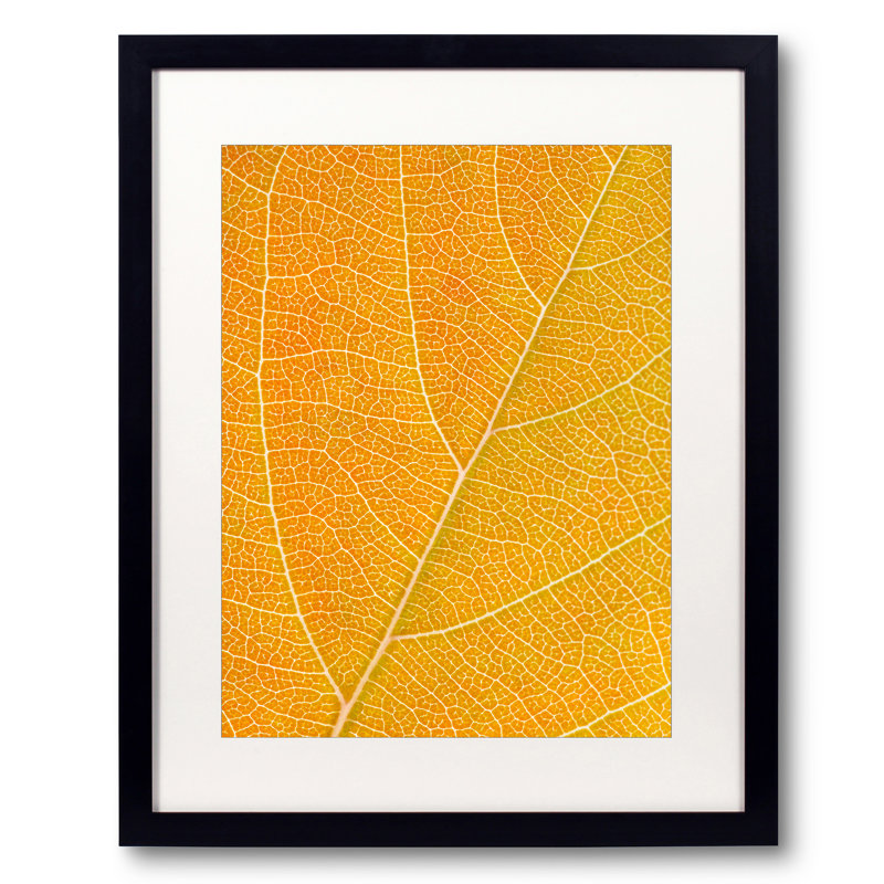 Autumn Leaf by Philippe Monthoux, Black Framed Paper, 20" H x 16" W