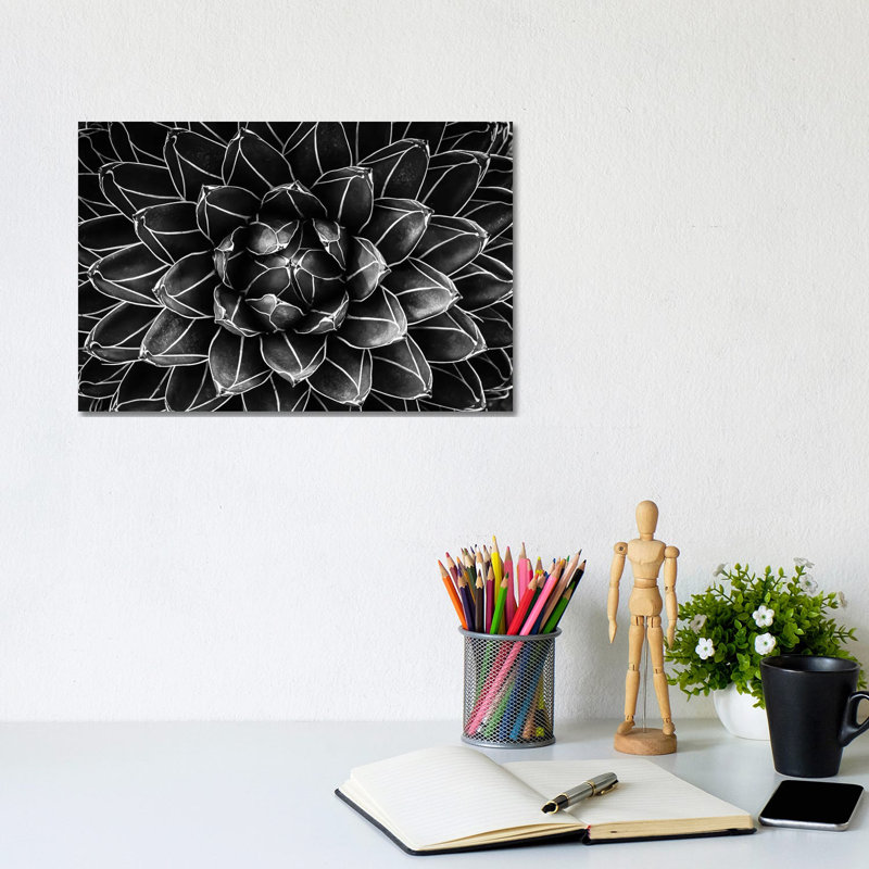 Natural Math by Monica Valentina Patrascoiu - Wrapped Canvas Gallery-Wrapped Canvas Giclée, 20.32cm H x 30.48cm W