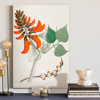« Botanical of the tropiques I », reproduction d’art sur toile tendue