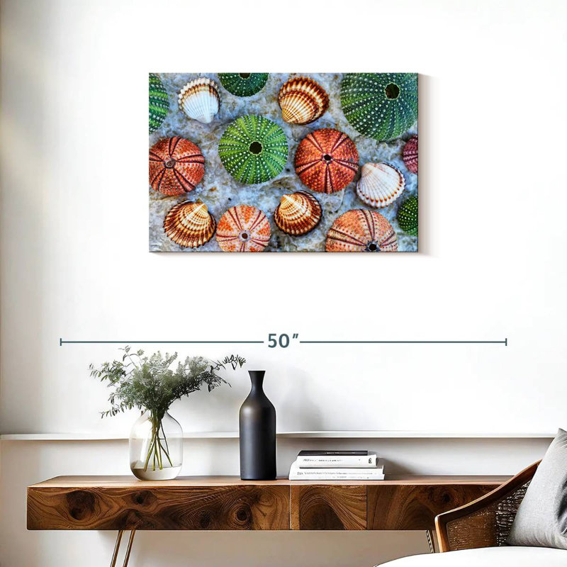 Aletra Colorful Seashells, 20" H x 30" W