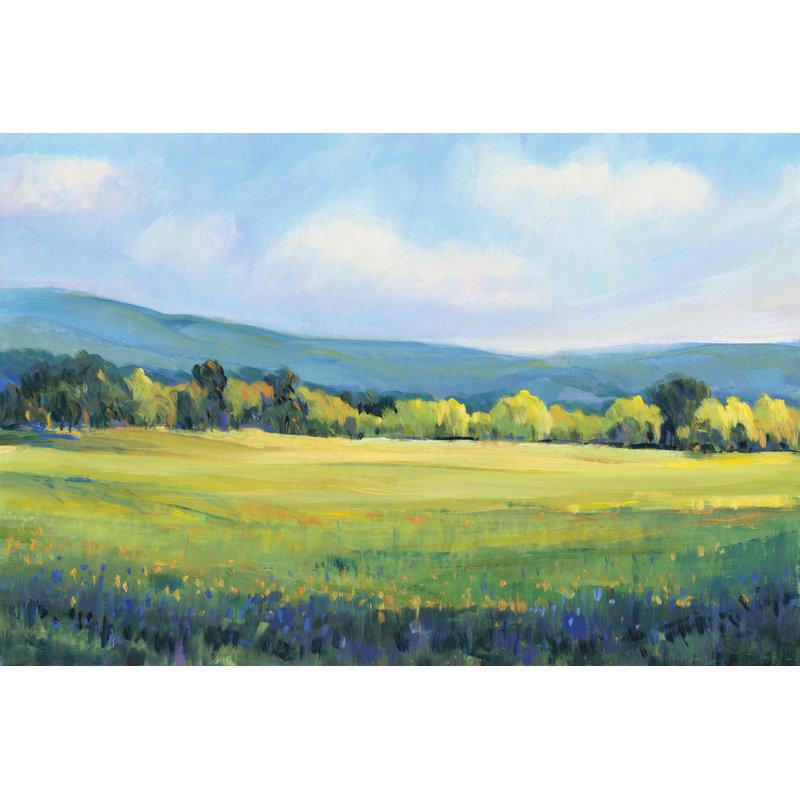 «Partly Cloudy II» par Timothy O 'Toole, reproduction d'art sur toile tendue, H 24 po x l 36 po