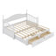 Lit de jour simple en bois avec lit gigogne double Rosamond-546882334