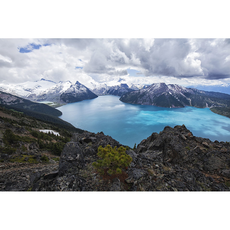 Panorama Ridge in summer, BC, Canada, 30cm H x 46cm W
