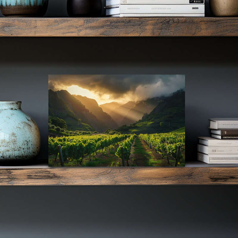 Sunlit Mountain Vineyard Dramatic Peaceful Serene Landscape Mountain Wall Art Print 1 Piece Wrapped Canvas Wall Art