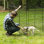 44In Multi Purpose Fence Panel