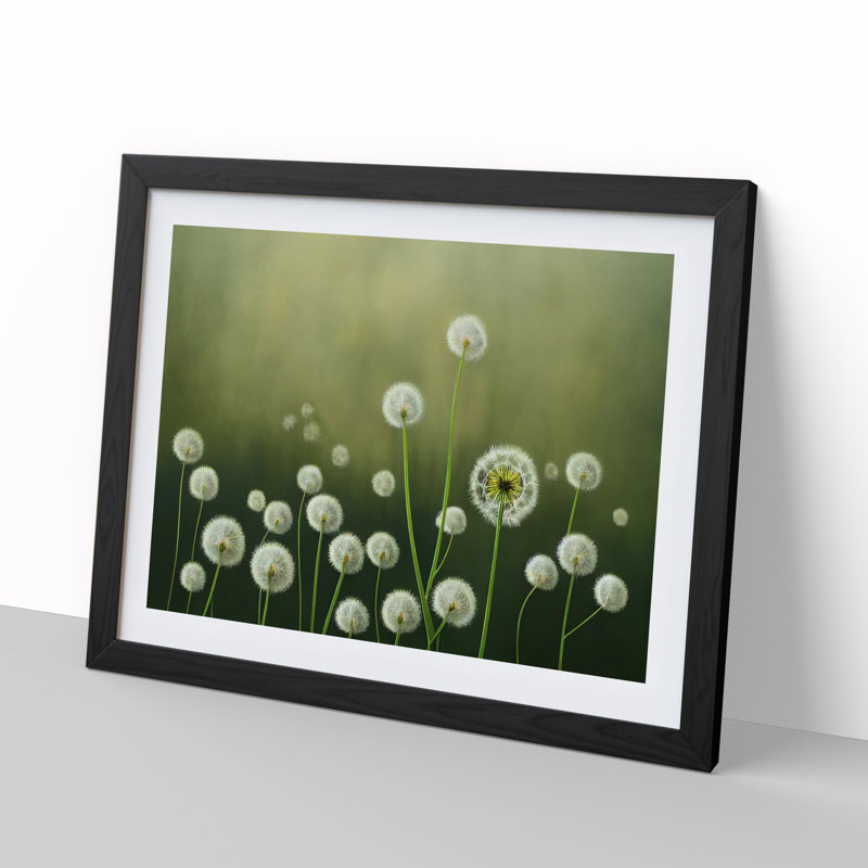 Enthralling Dandelion Flowers - Single Picture Frame Painting, 25cm H x 34cm W x 2cm D, Black 