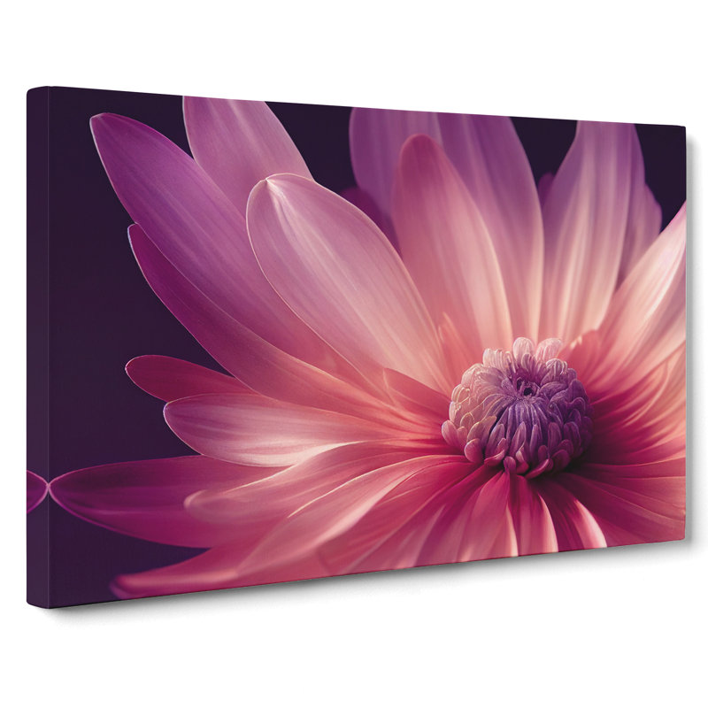 Cute Chrysanthemum Flower Vol.4 - Wrapped Canvas, 50cm H x 76cm W x 3cm D