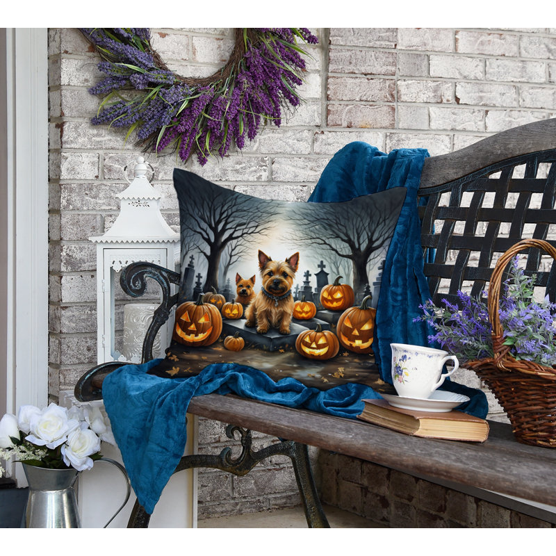 Other/No Pattern Outdoor Throw Pillow, 18" x 18"