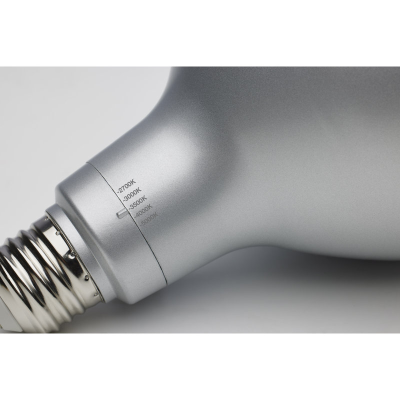 19 Watt Silver Bulb