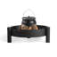 Rosalind Wheeler Aarica Cast Iron Standard Pot
