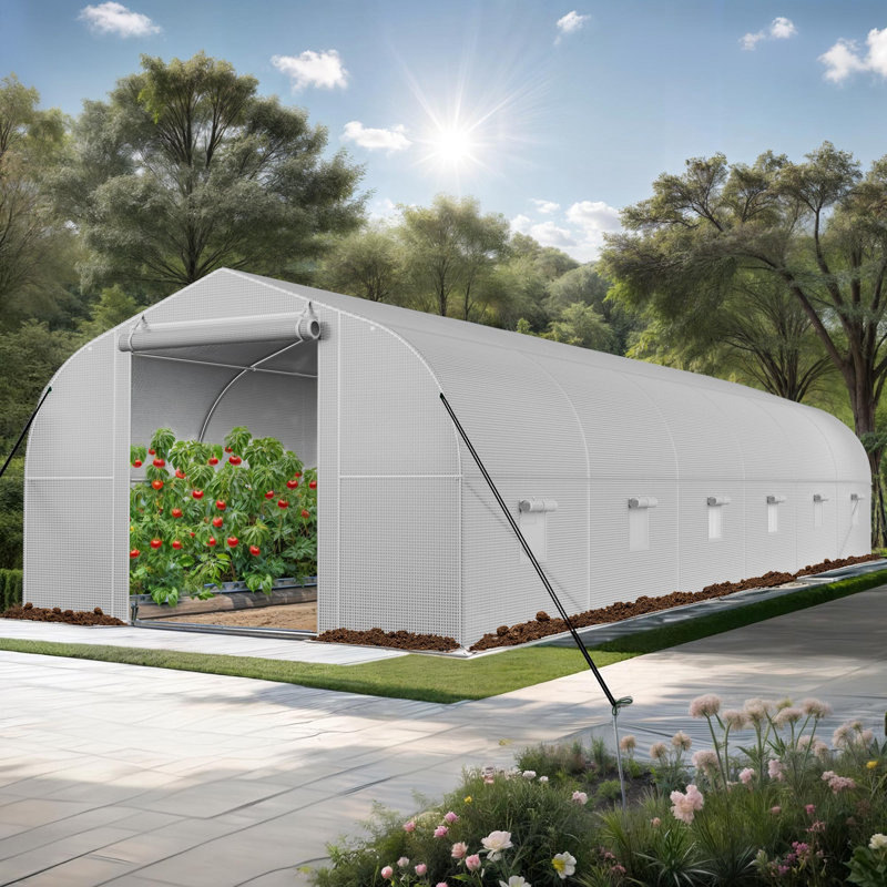 Serre, H 76,8 po x l 117,6 po x P 354 po, Blanc