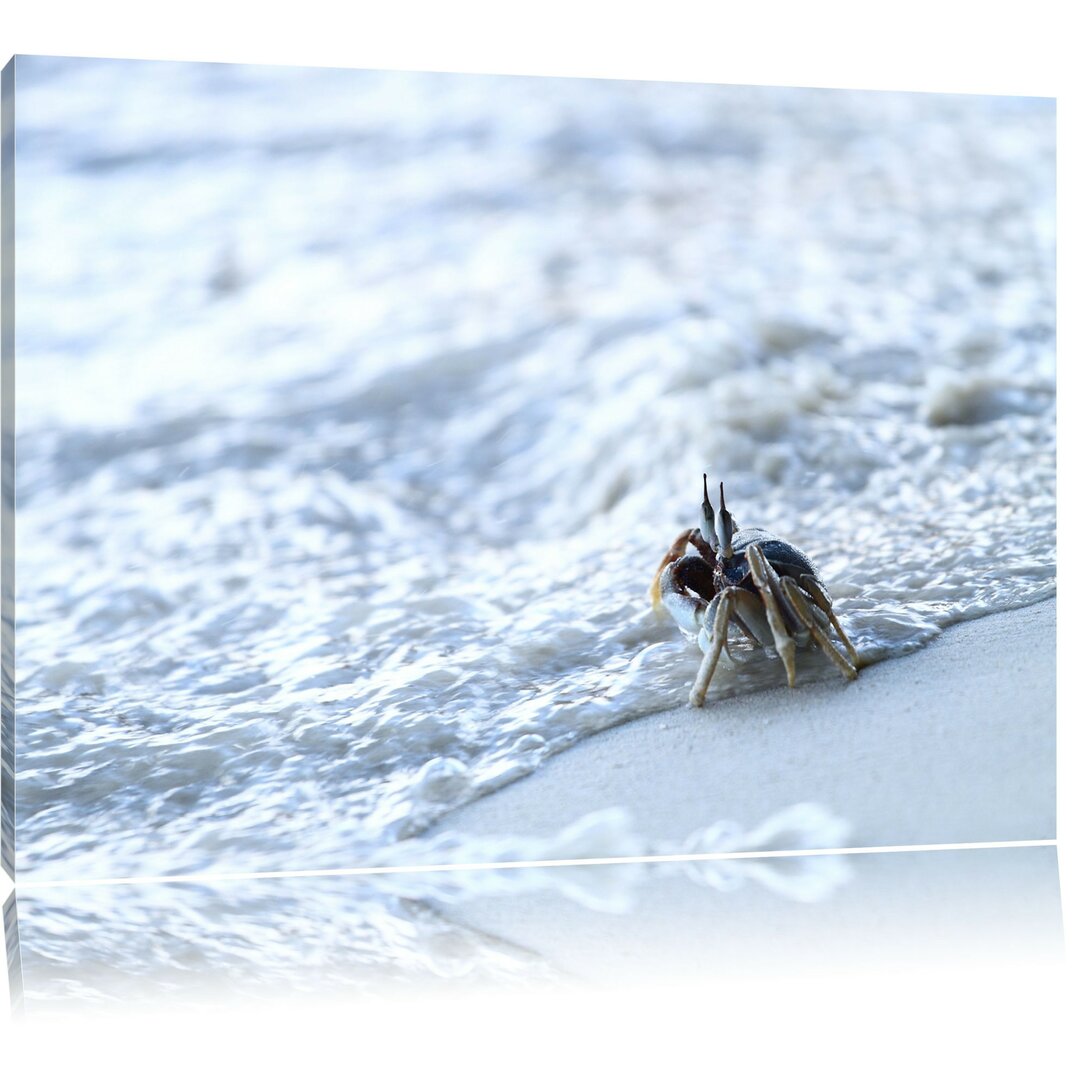 Leinwandbild Kleine Krabbe am Strand