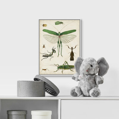 Animals Canvas Art