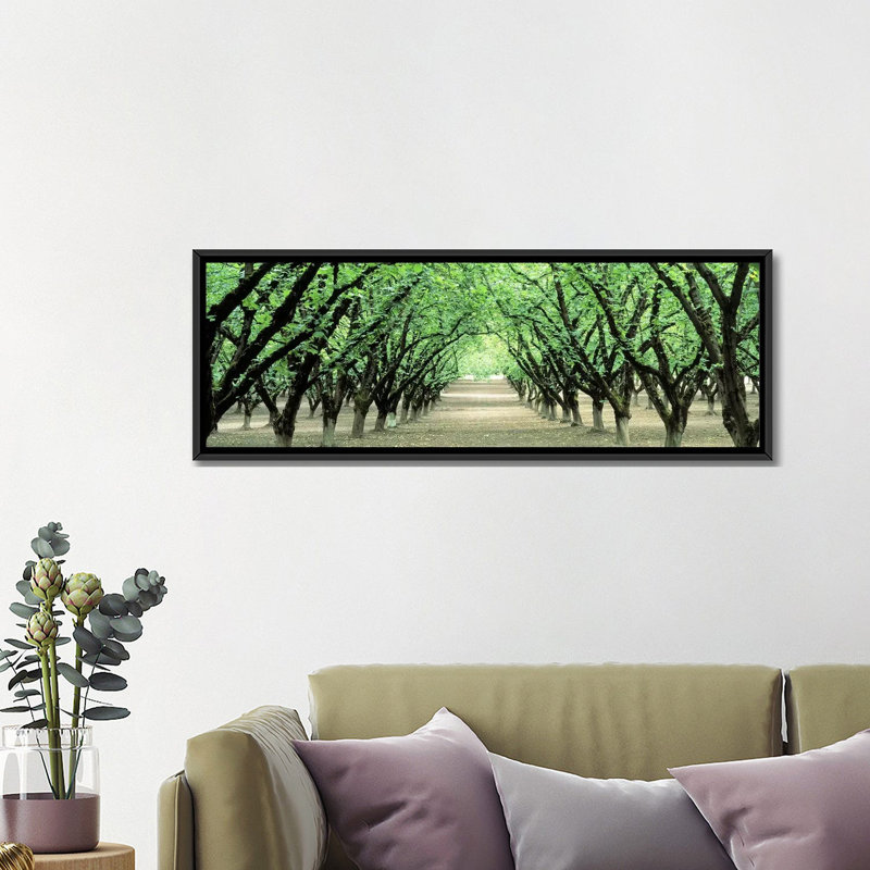 « hazeling verger, dayton, oregon », reproduction de photo sur toile, H 16 po x l 48 po x P 1,5 po, Toile tendue