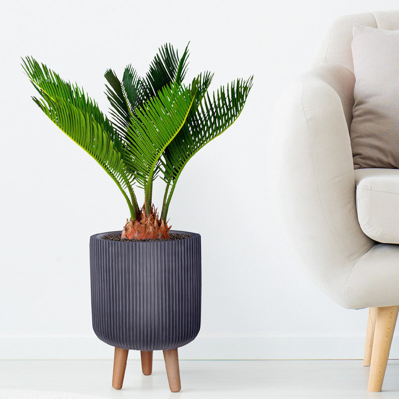 Ribbed Cylinder Planter with Feet, Black, 36cm H x 25.5cm W x 25.5cm D