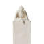 Astro Abstract Decorative Object