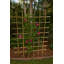 Treillage en bois Yarger-494741534