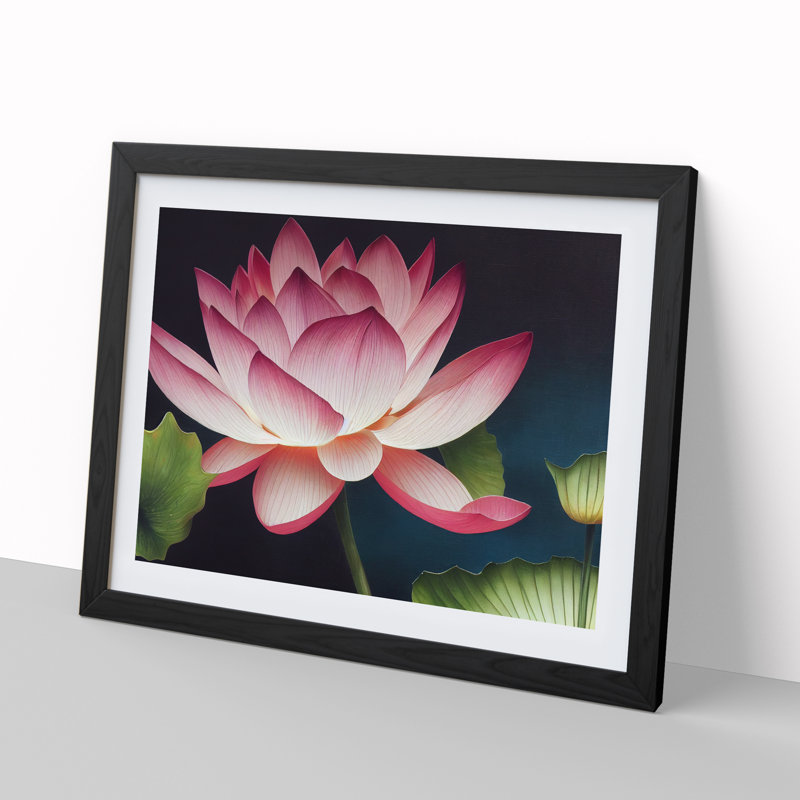 Stunning Lotus Flower - Single Picture Frame Print, Black, 46cm H x 64cm W x 2cm D