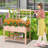 Jovonne Wood Raised Garden Bed with Trellis