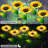 Low Voltage Solar Powered Integrated LED Pathway Light Pack