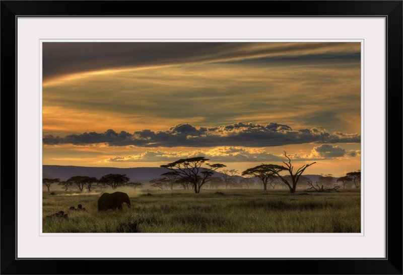 "Afrique" par Amnon Eichelberg, "Straub" par Straub, H 32 po x l 44 po x P 1 po, Cadre noir