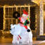 Père noël et supports polaires gonflables