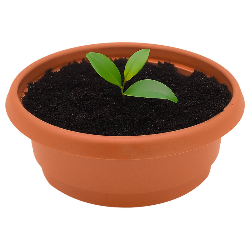 Pots de culture