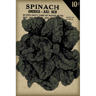 Vintage Seed Pack VI