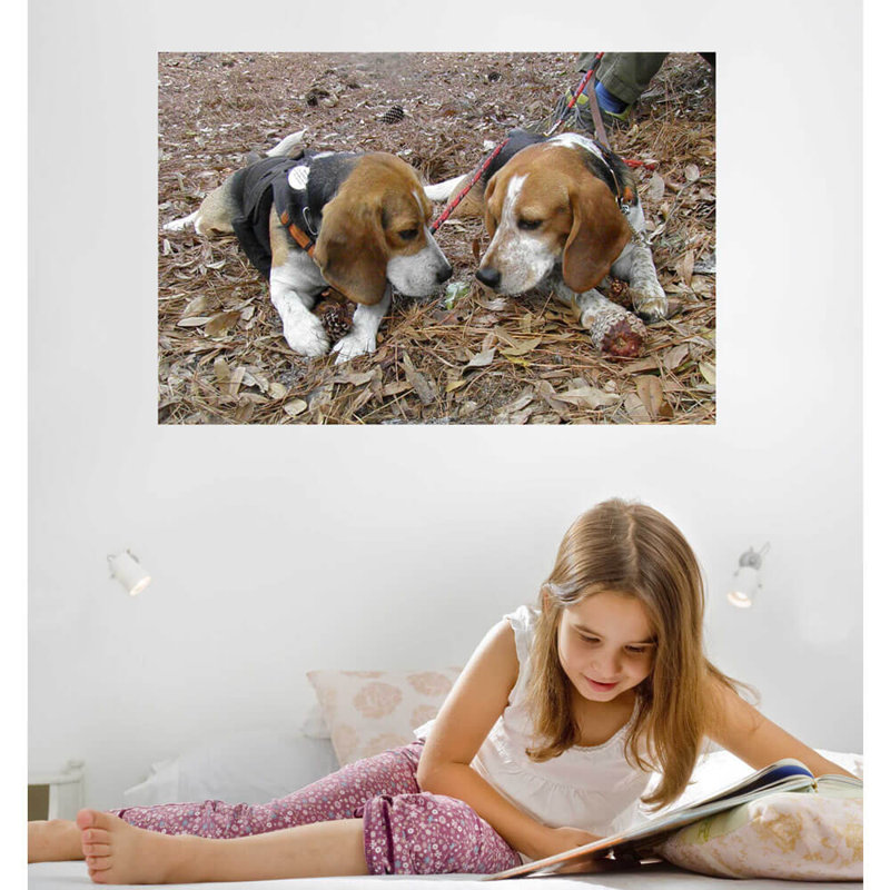 Goudy Animals Non-Wall Damaging Wall Decal, 16" H x 24" W